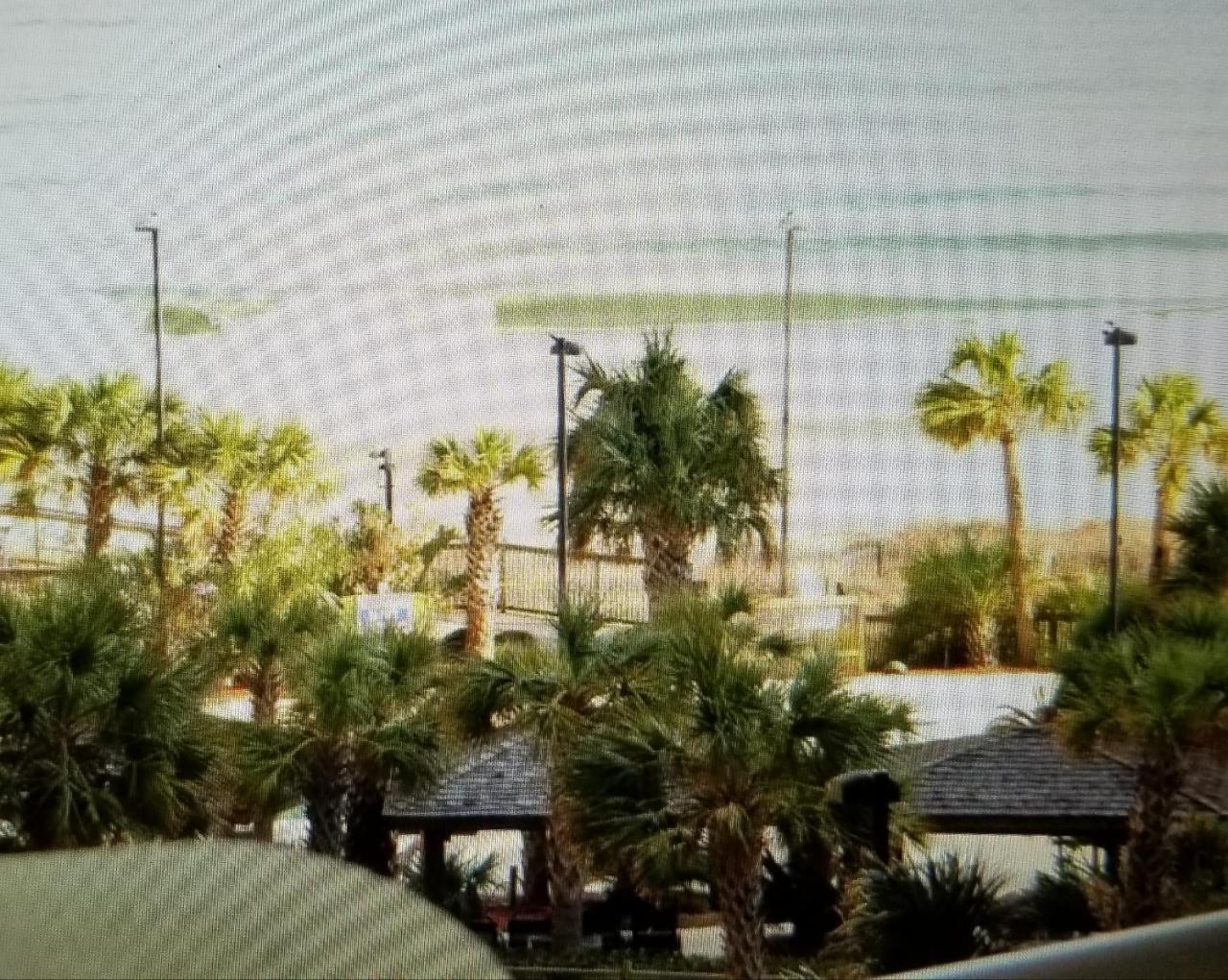 Royal Palms Apartment Briarcliffe Acres Eksteriør bilde